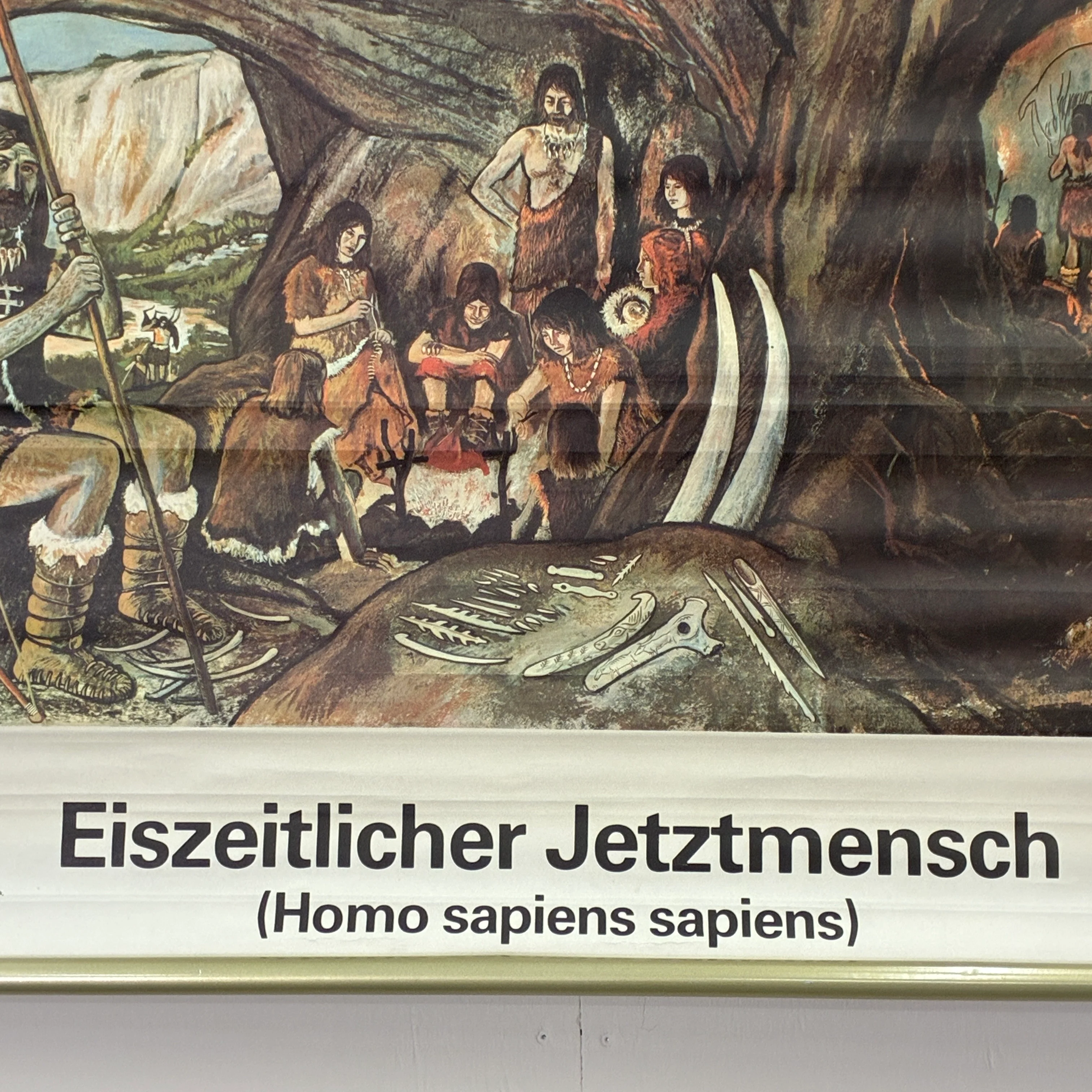 Vorschaubild 3