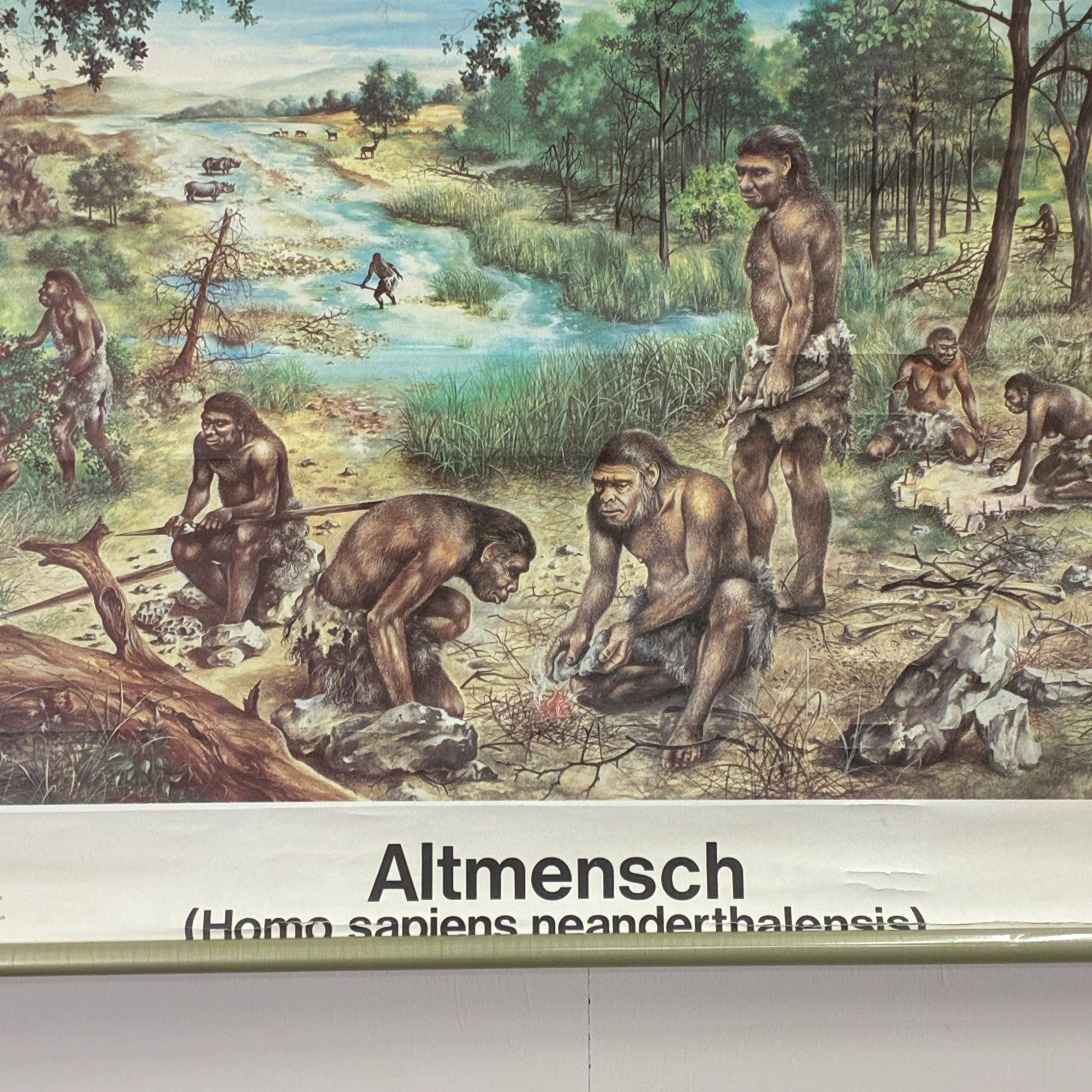 Vorschaubild 3