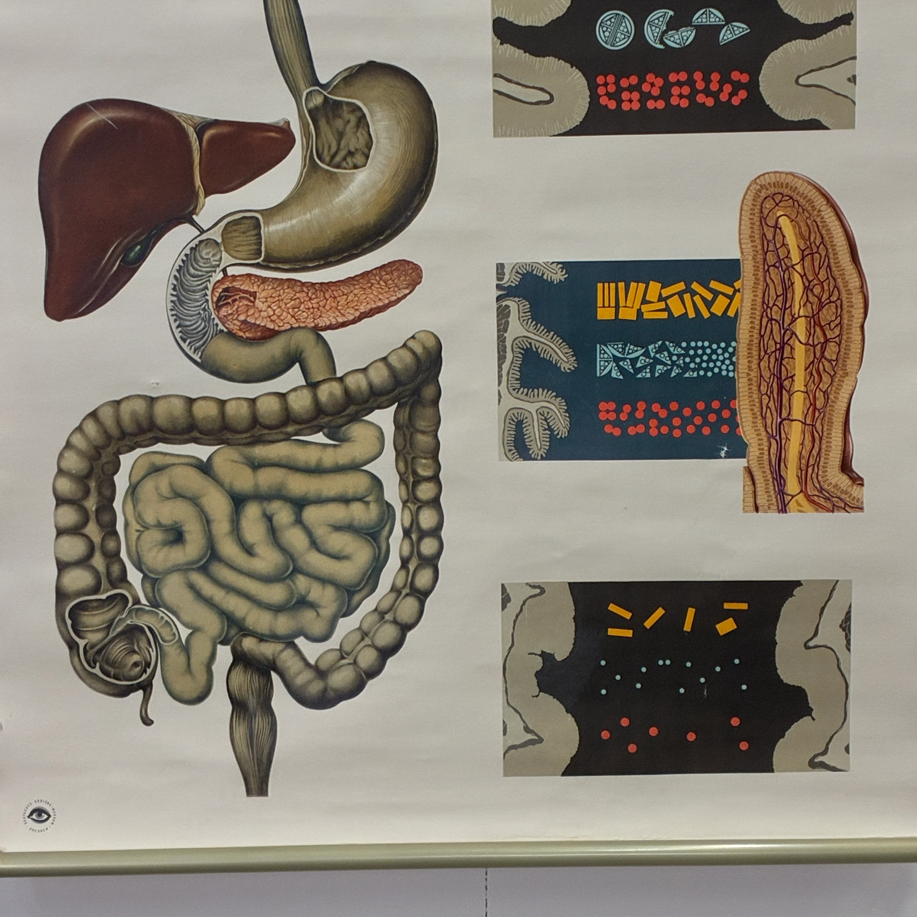 Vorschaubild 3