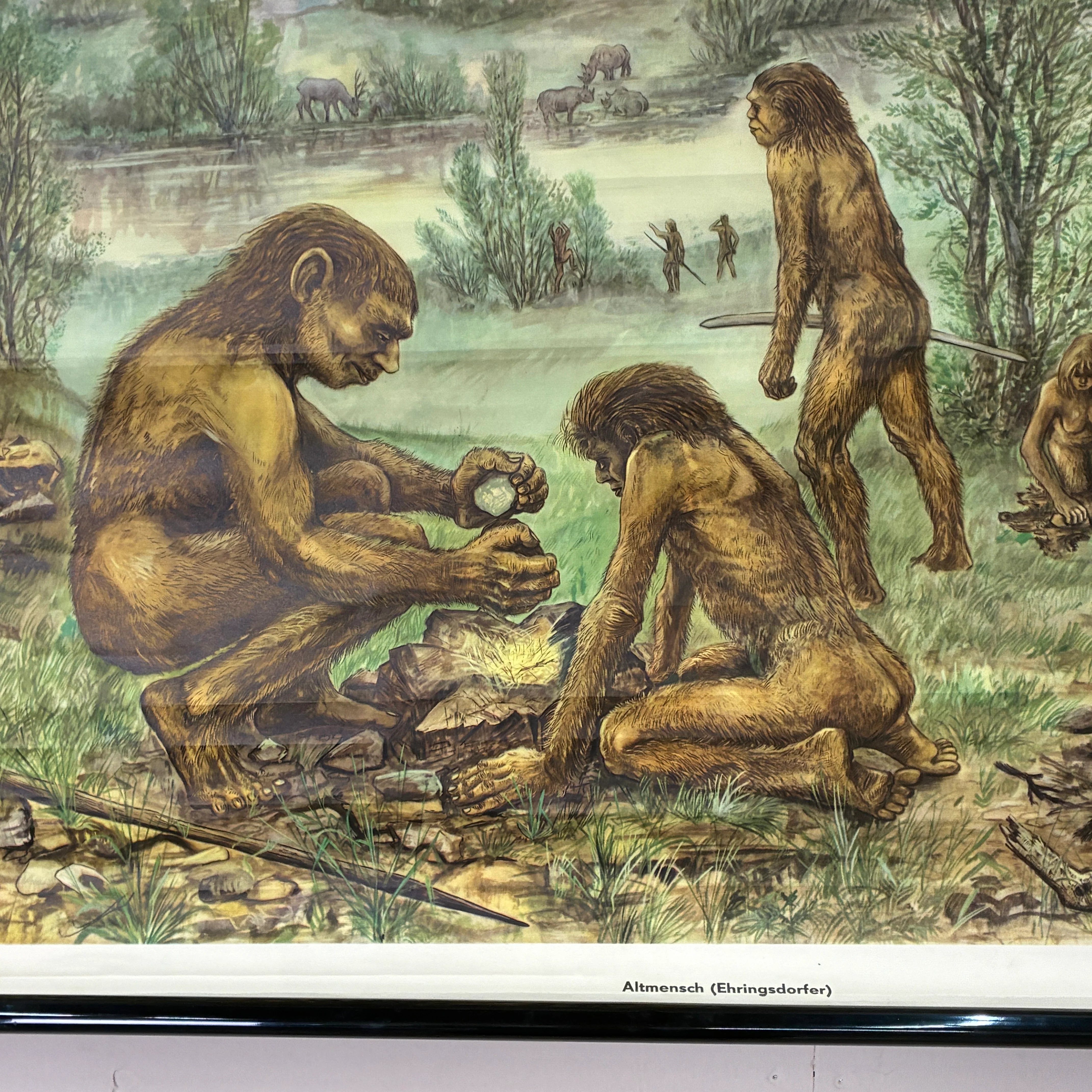 Vorschaubild 3