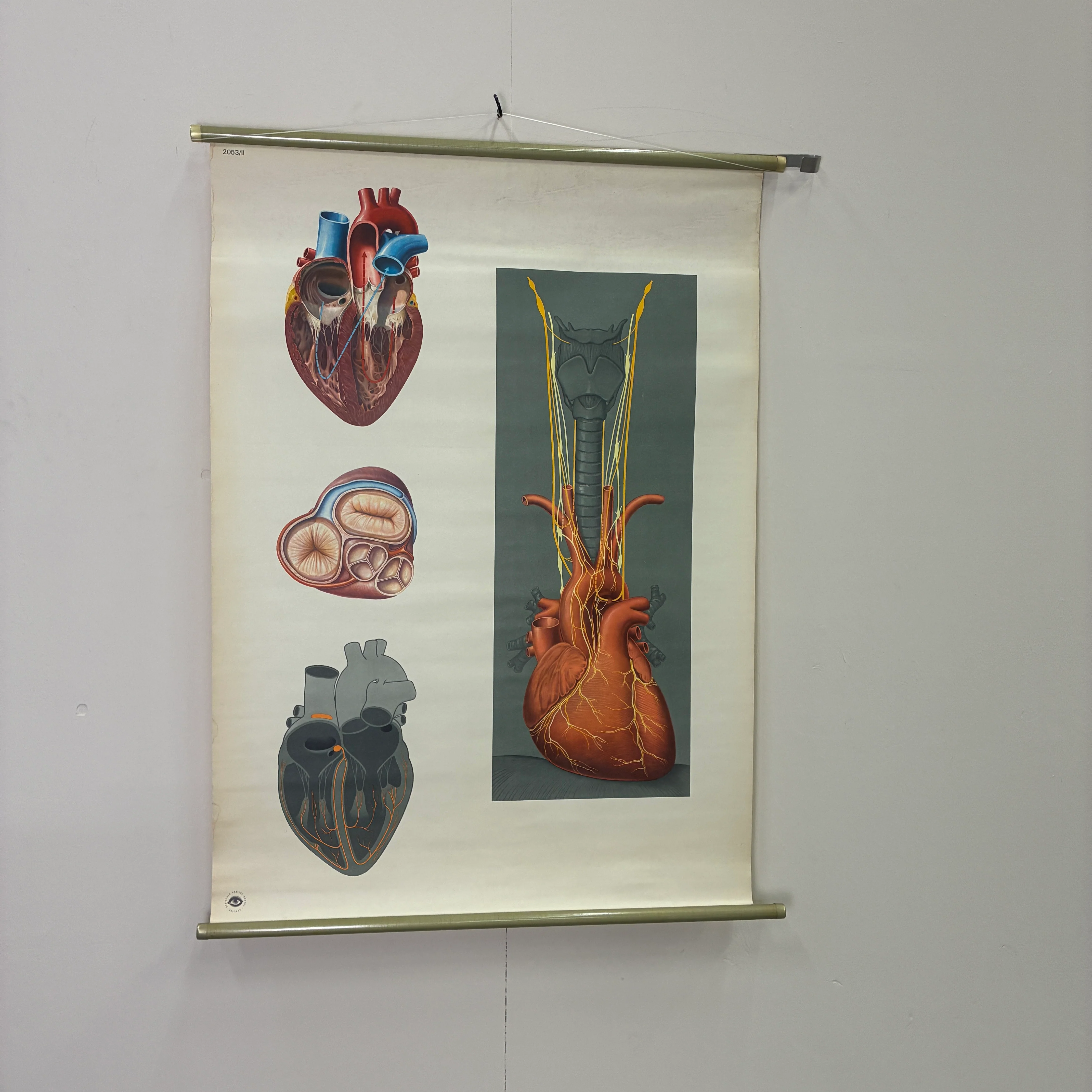 Vorschaubild 1