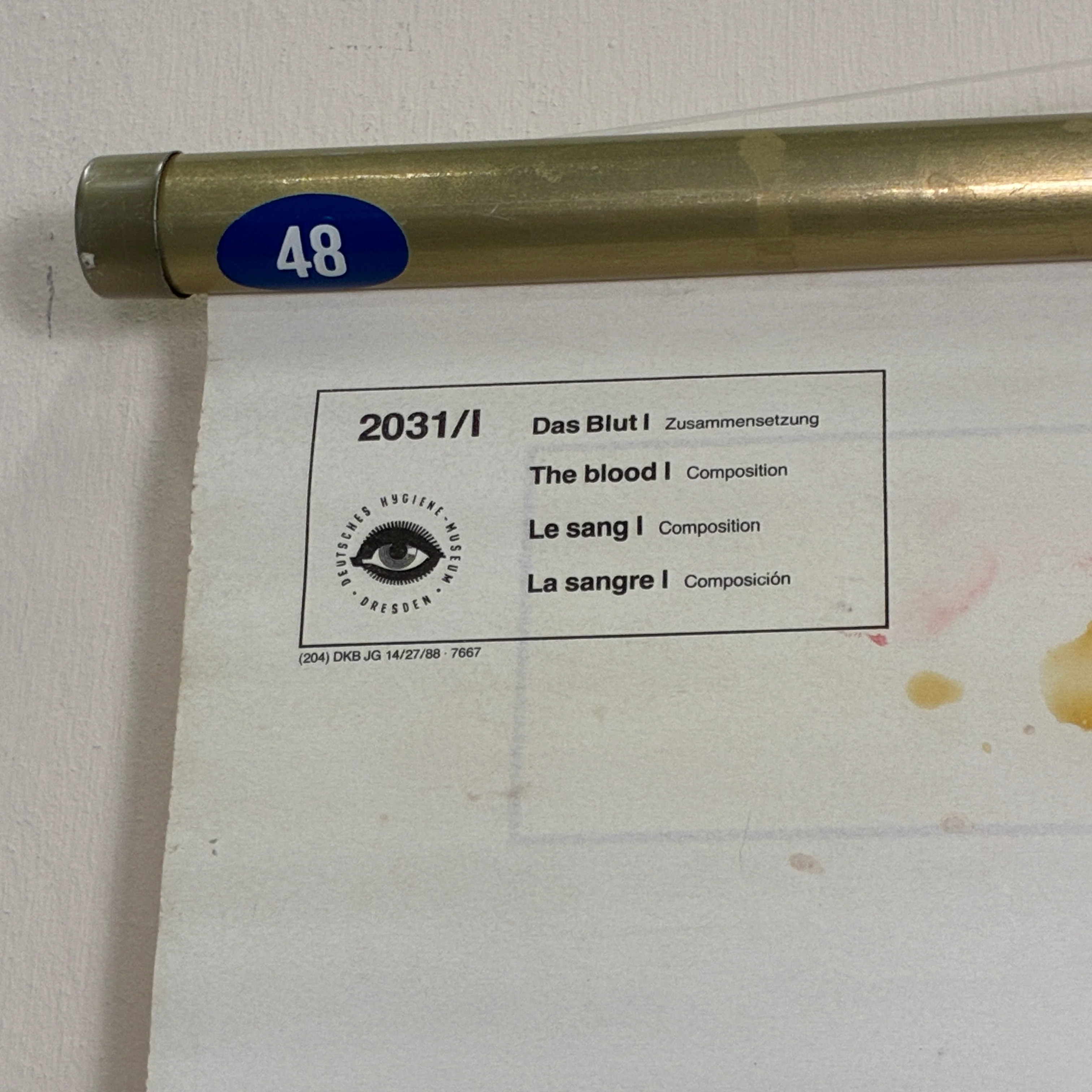 Vorschaubild 6
