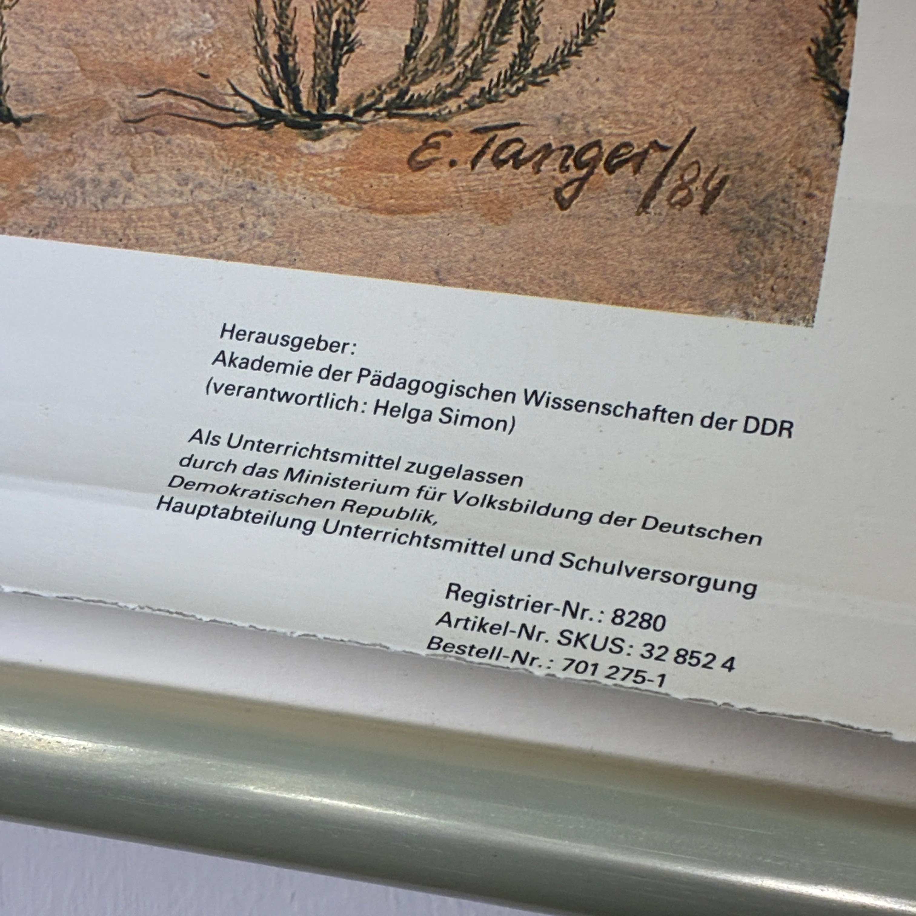 Vorschaubild 5