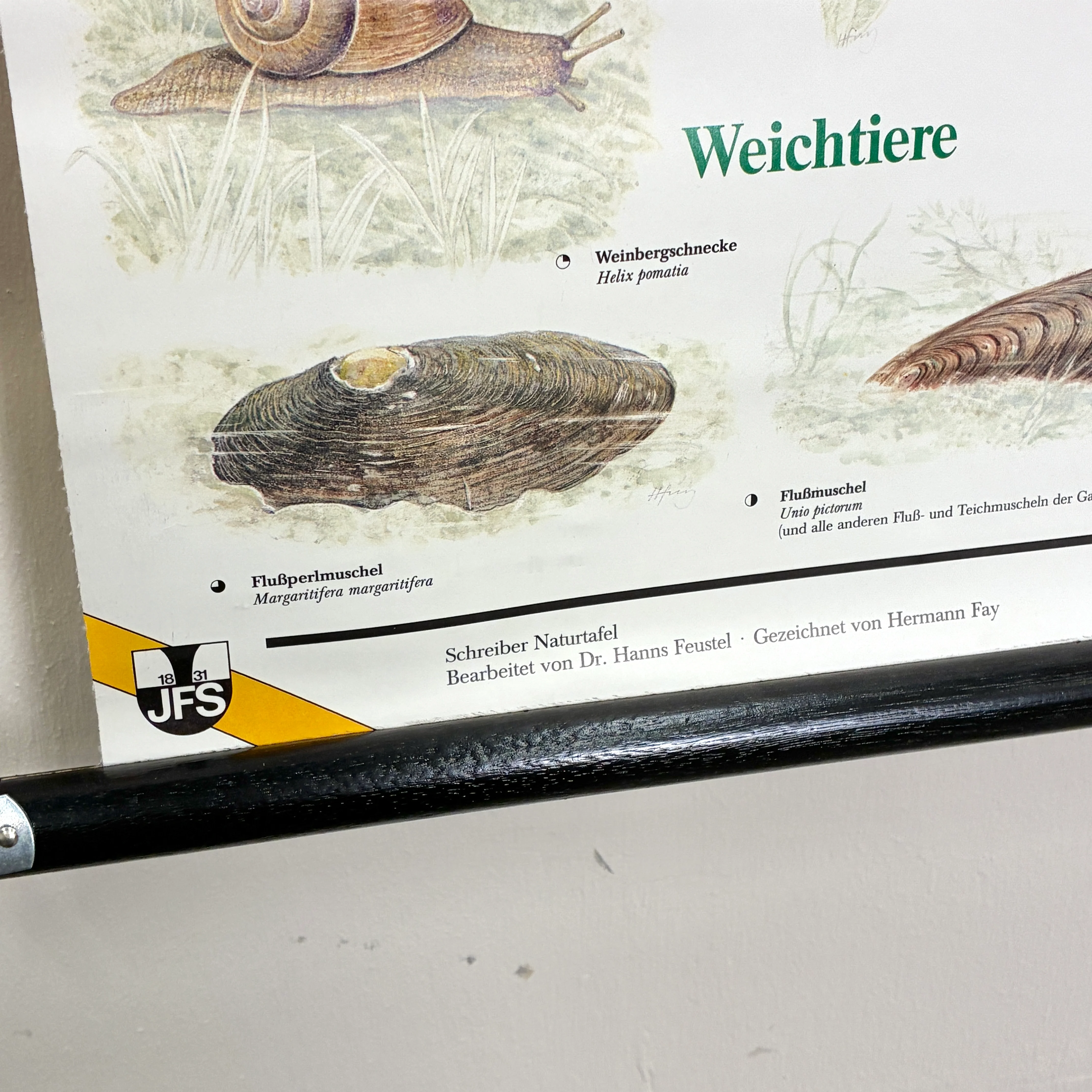 Vorschaubild 4