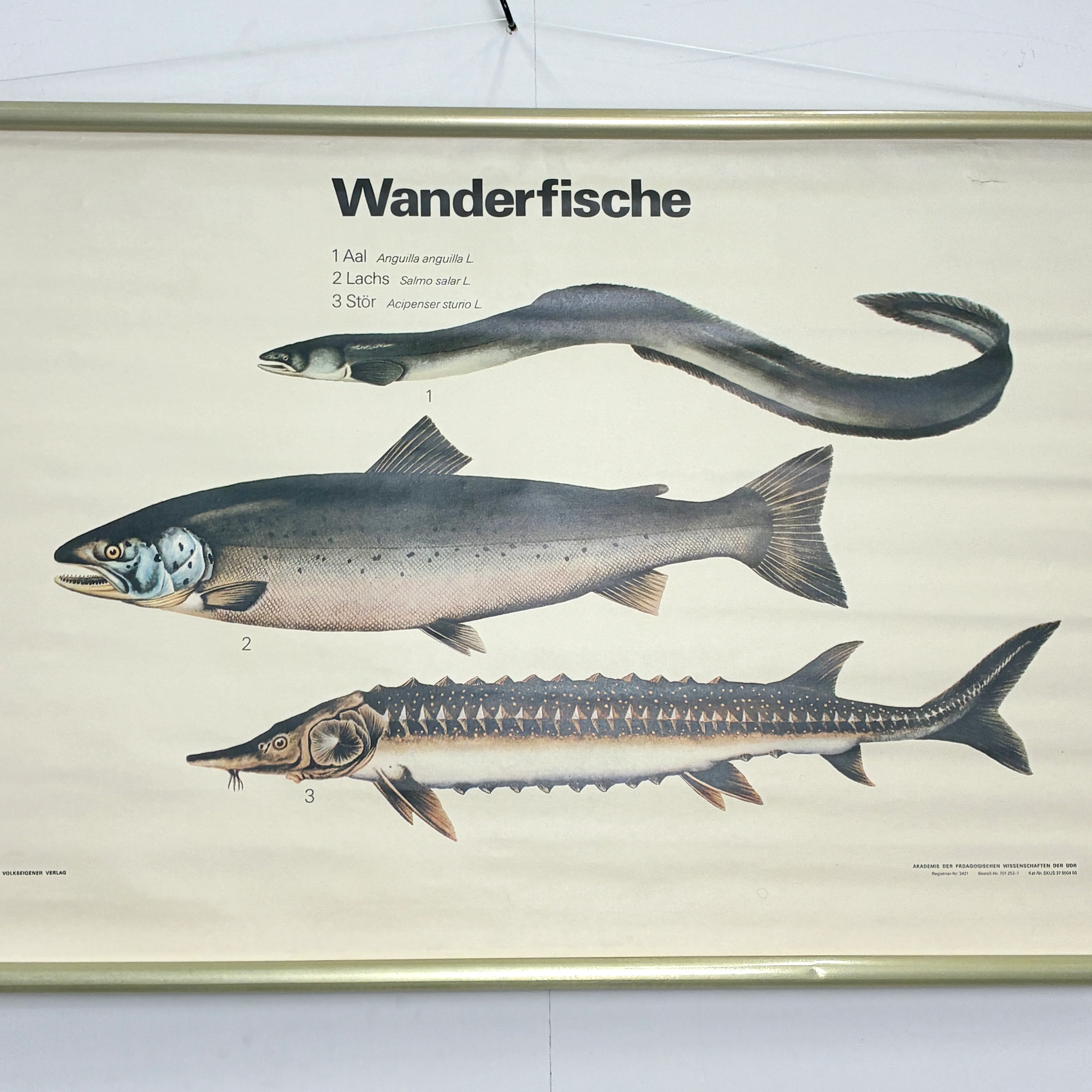 Vorschaubild 3