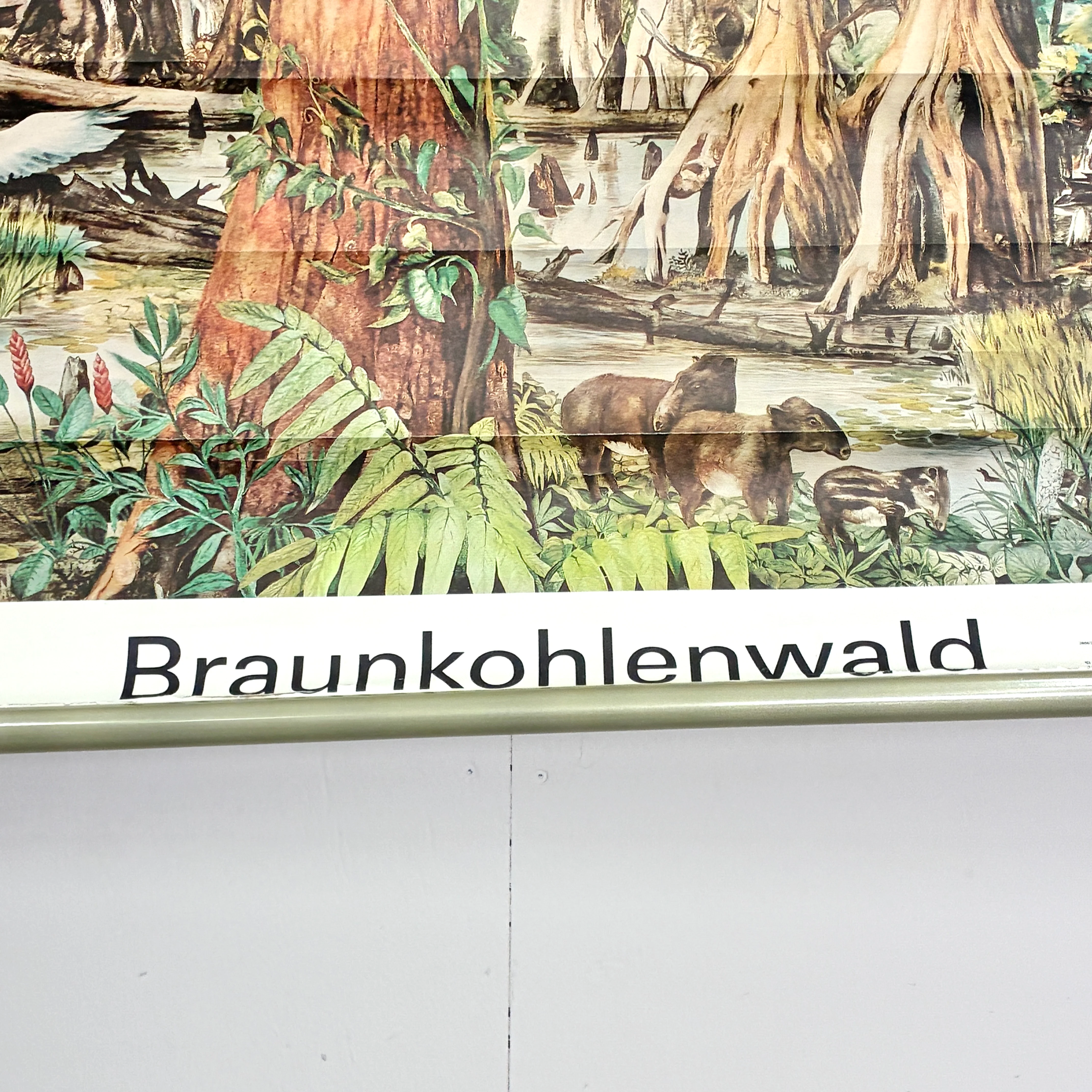 Vorschaubild 4