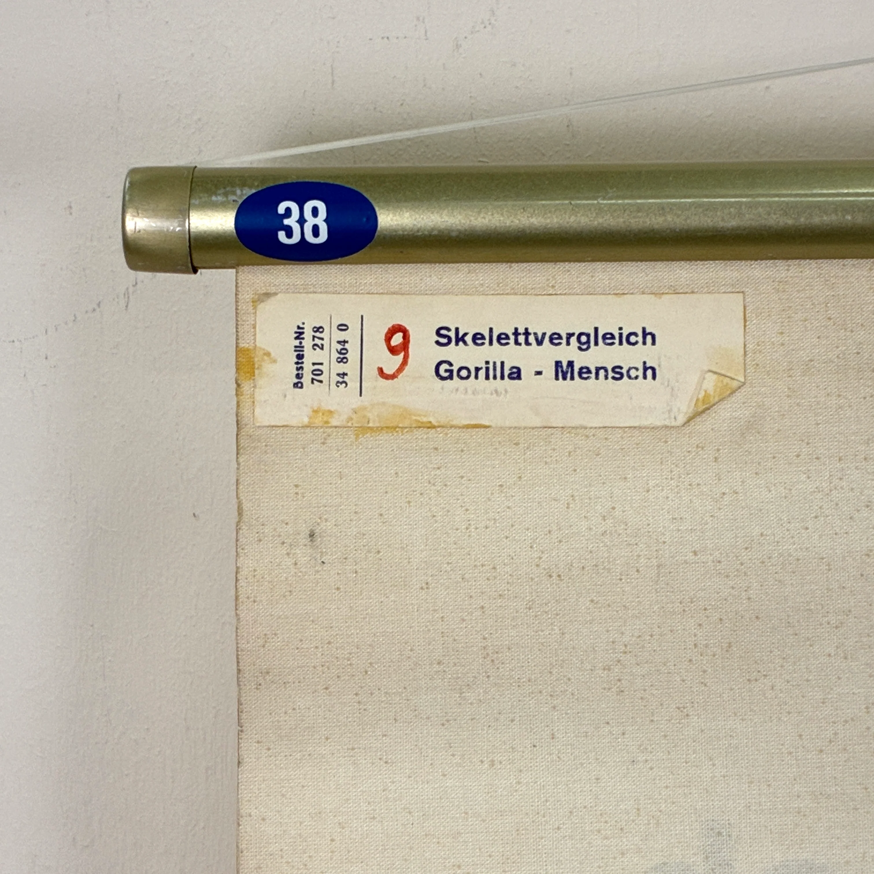 Vorschaubild 8