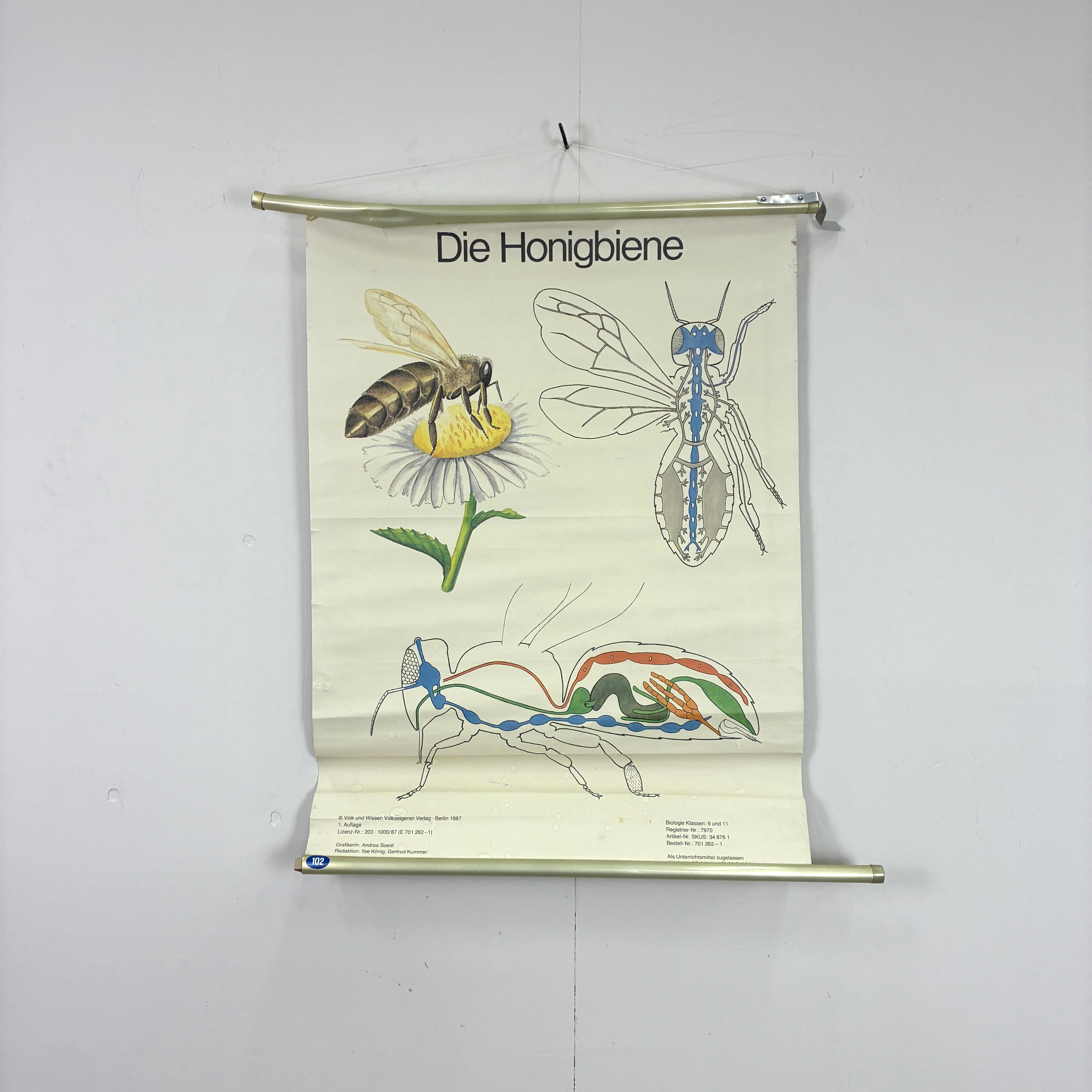Vorschaubild 2
