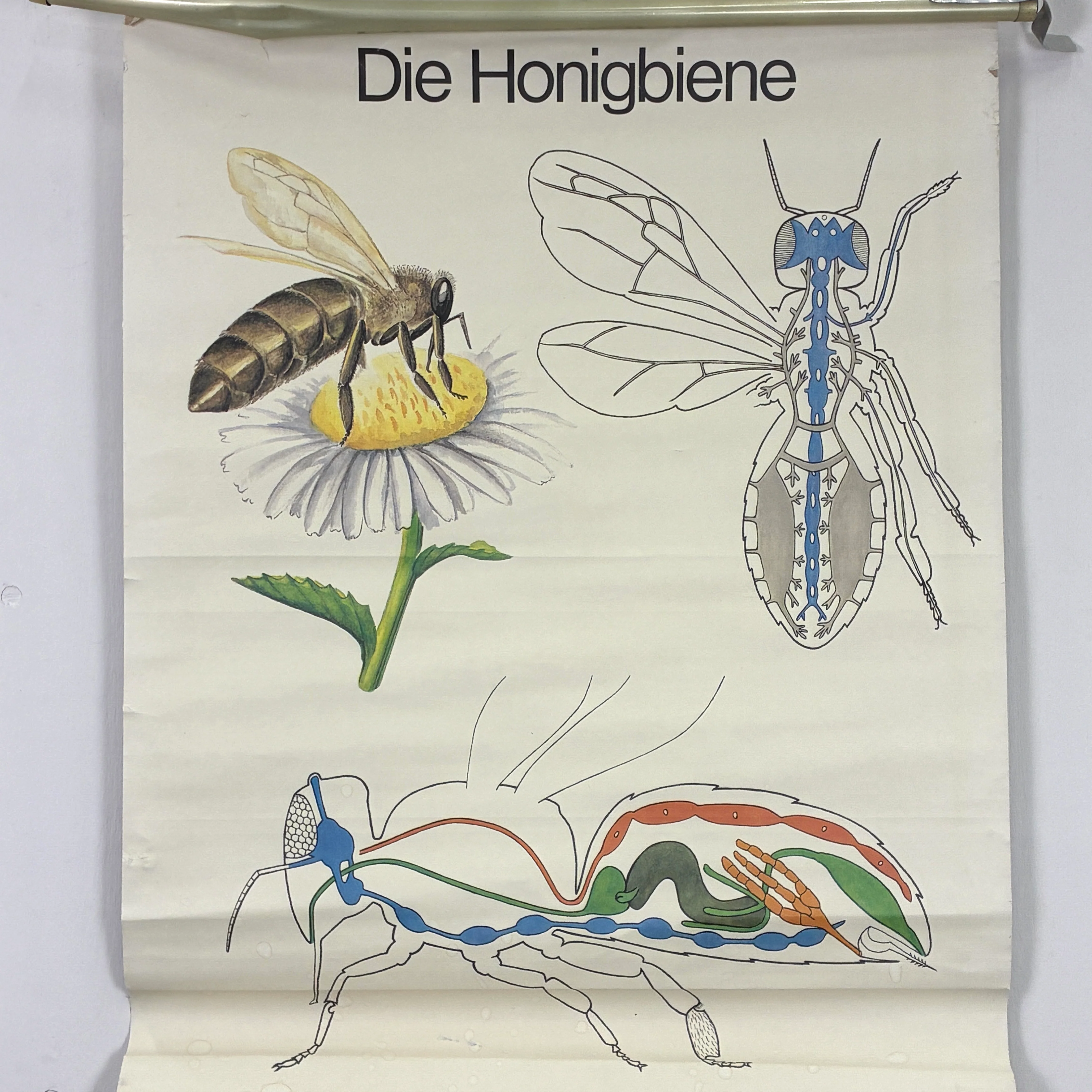 Vorschaubild 3