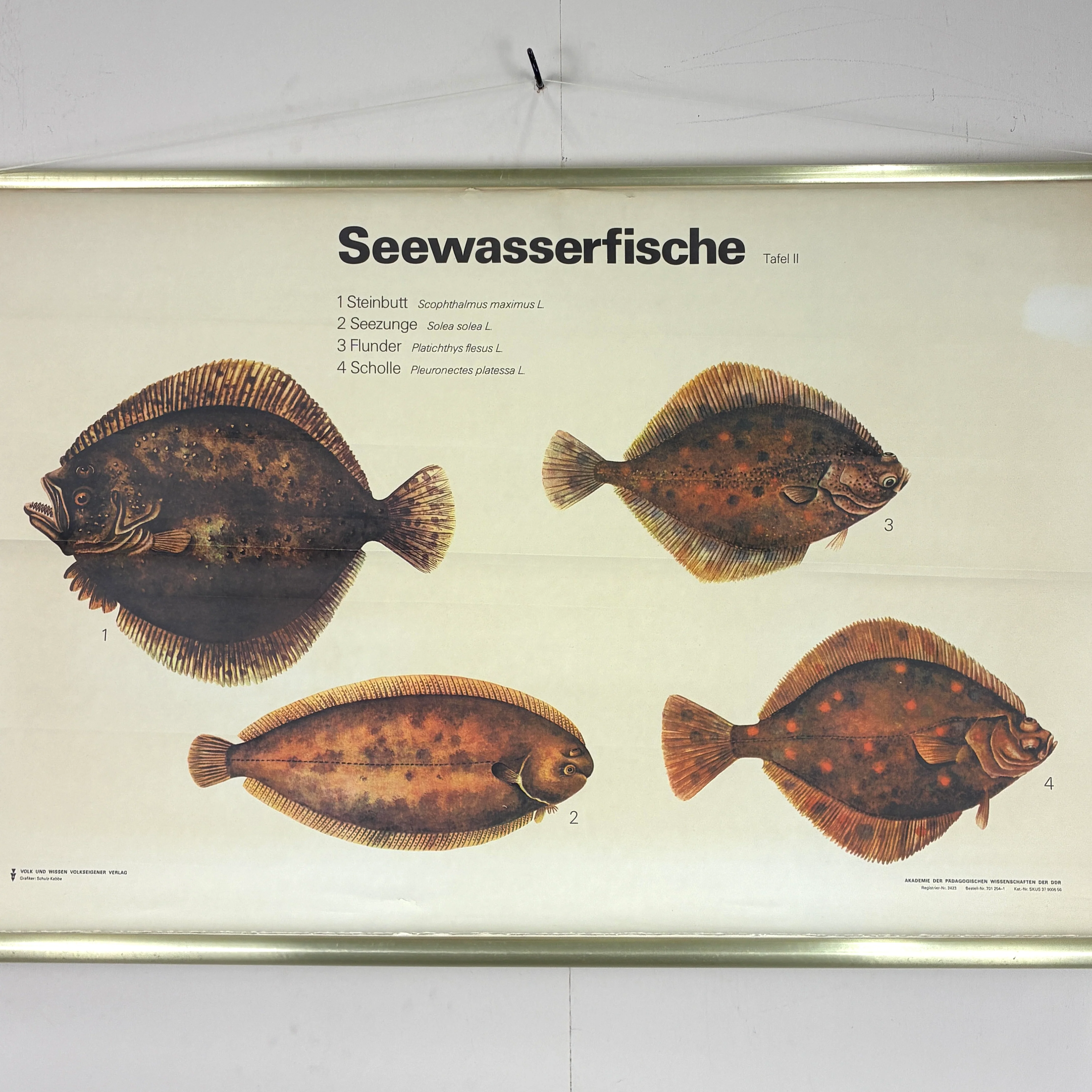 Vorschaubild 3