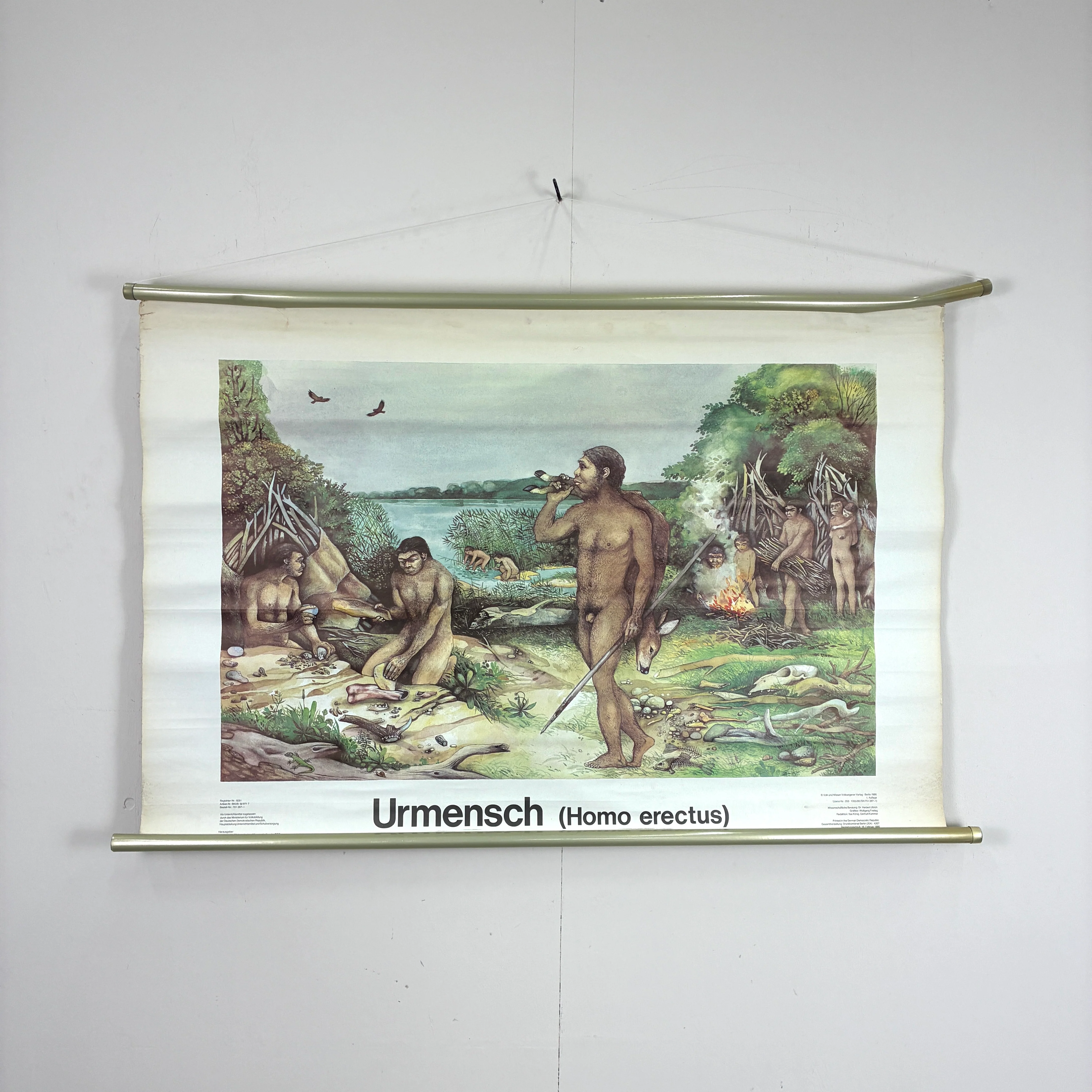 Vorschaubild 3