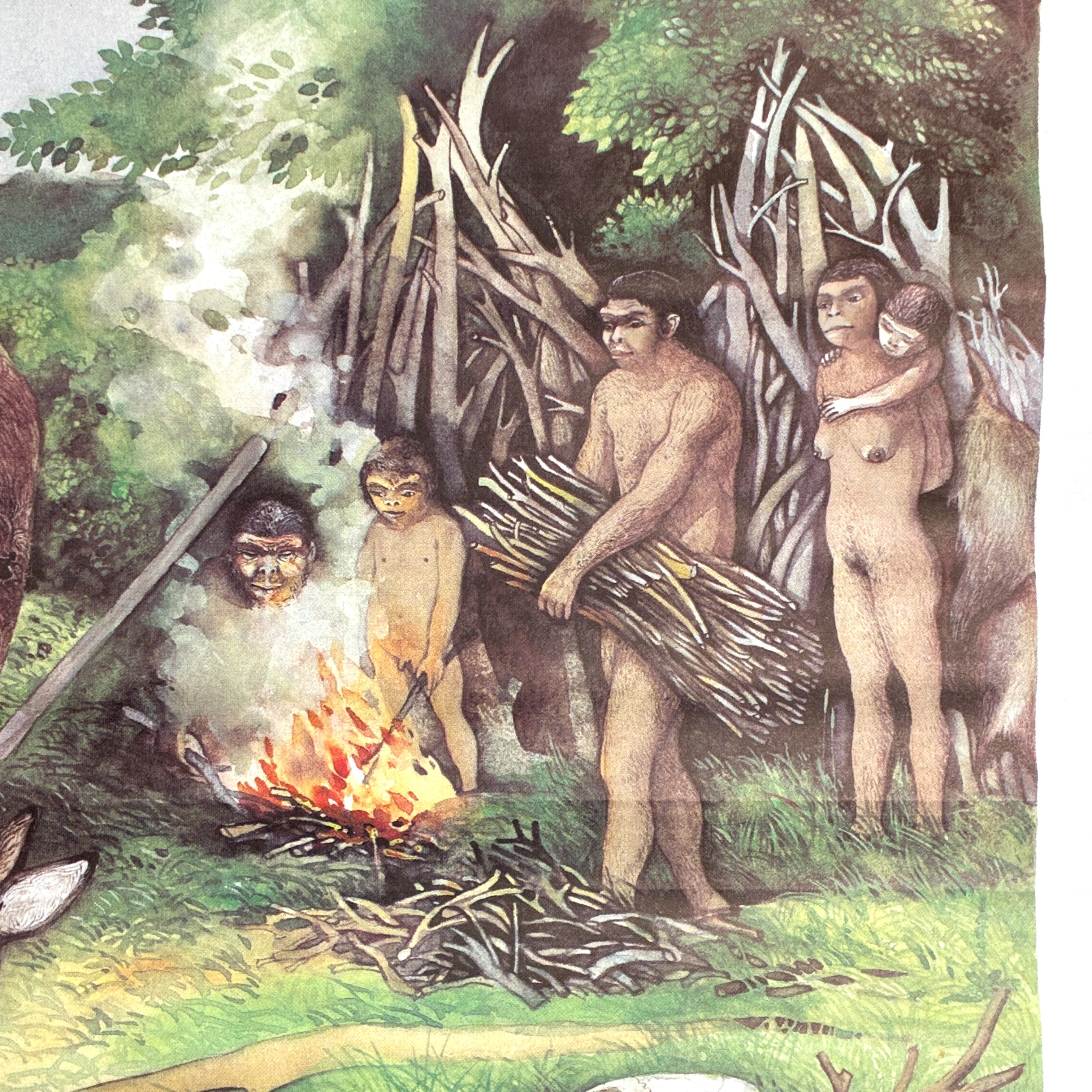 Vorschaubild 4