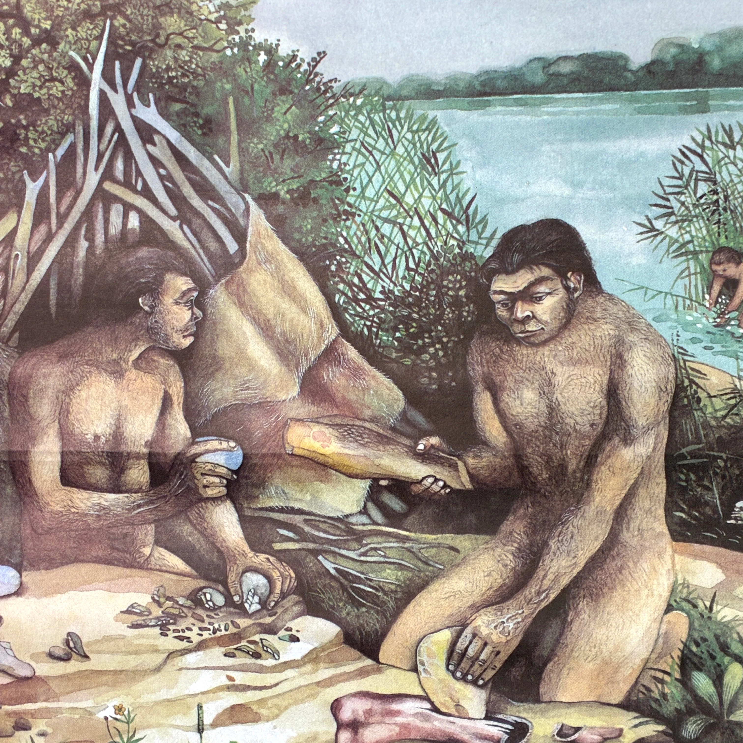 Vorschaubild 5