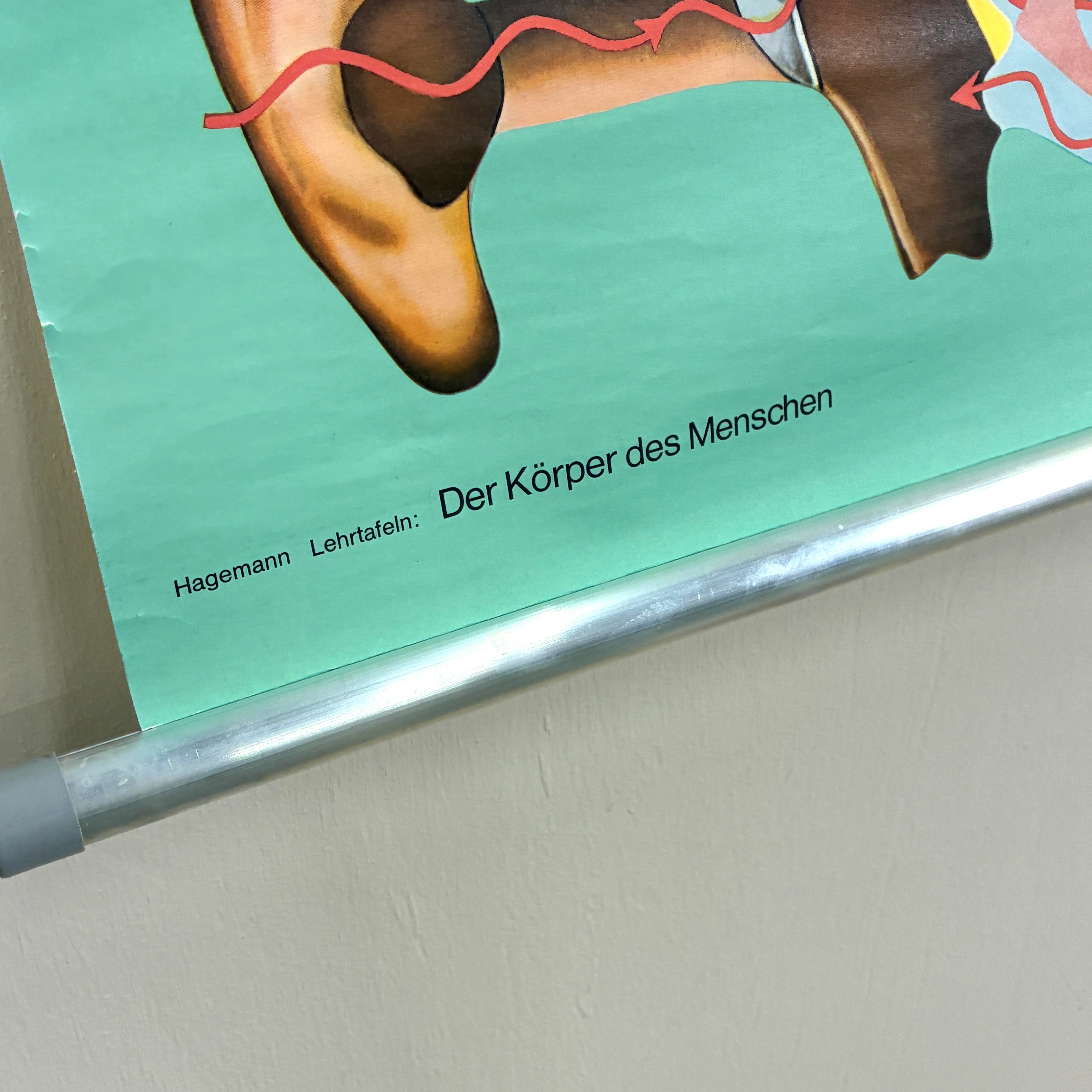 Vorschaubild 5