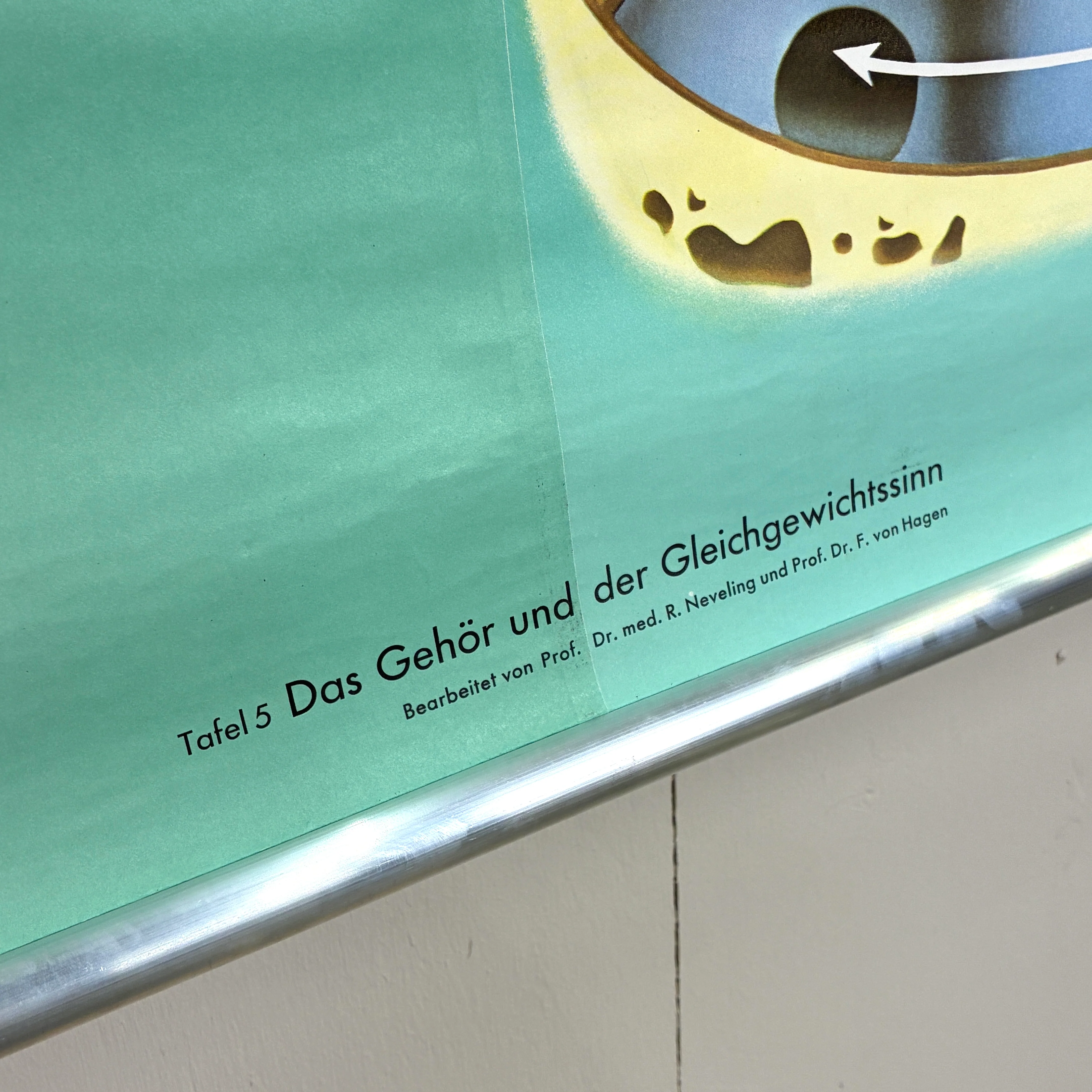 Vorschaubild 6