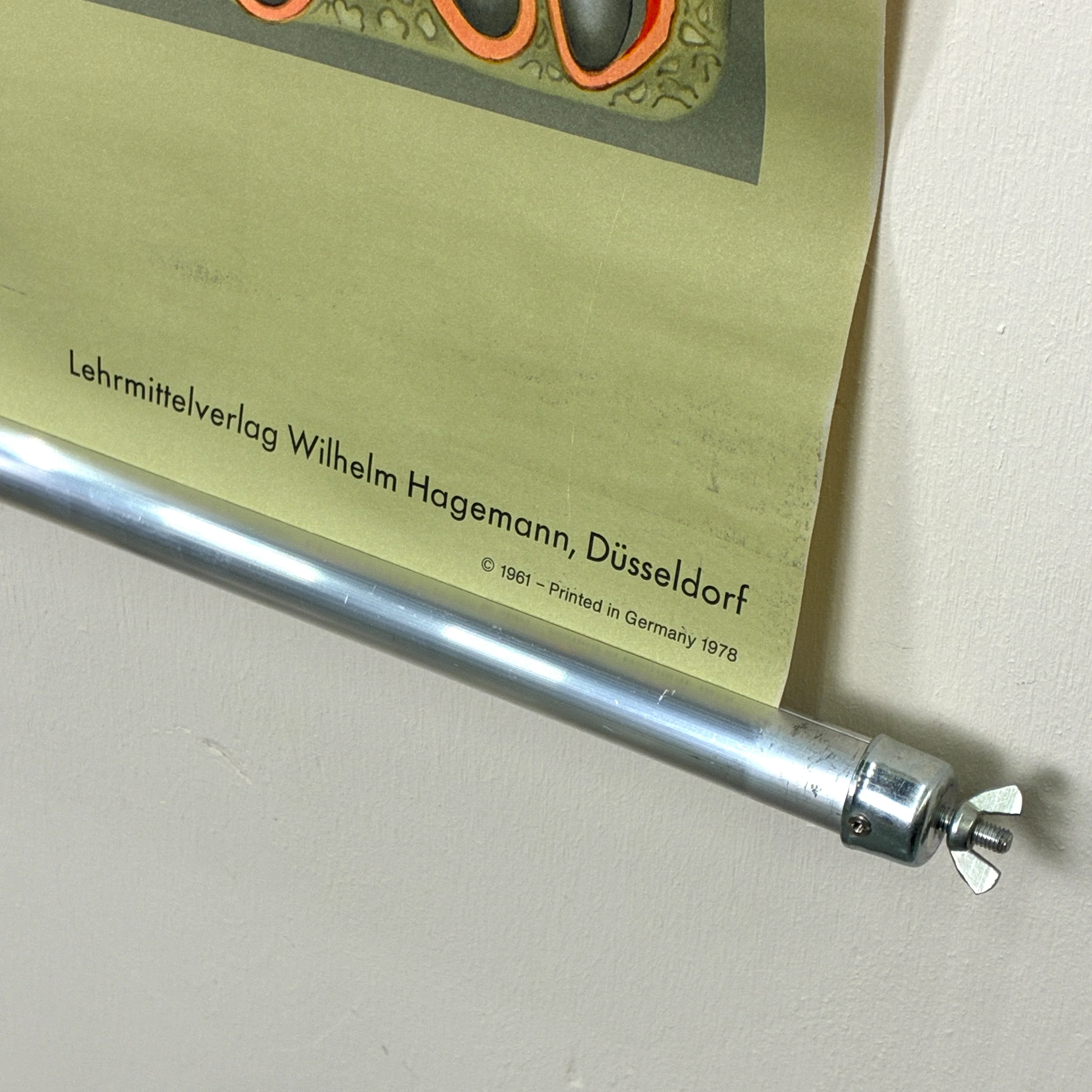 Vorschaubild 5