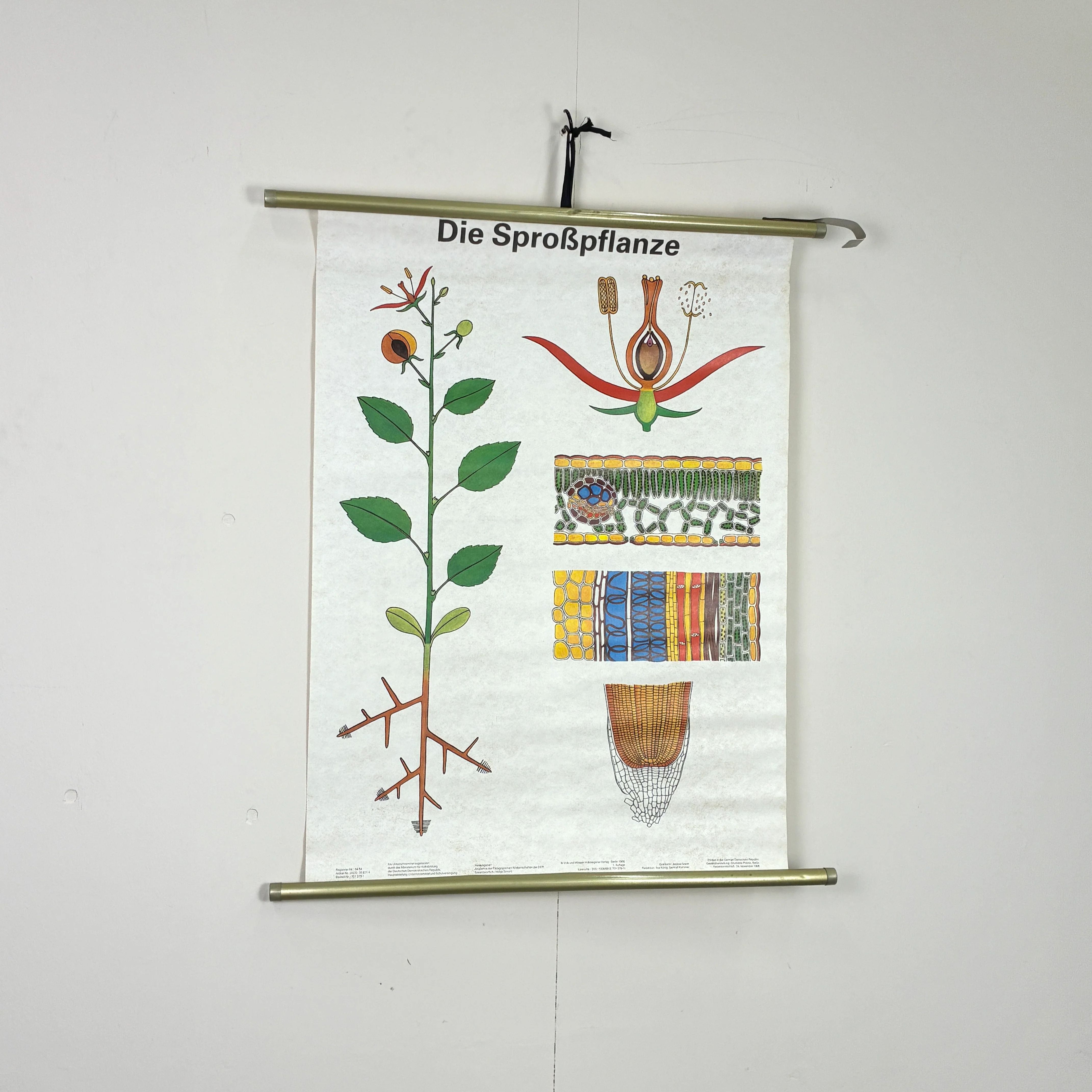 Vorschaubild 1