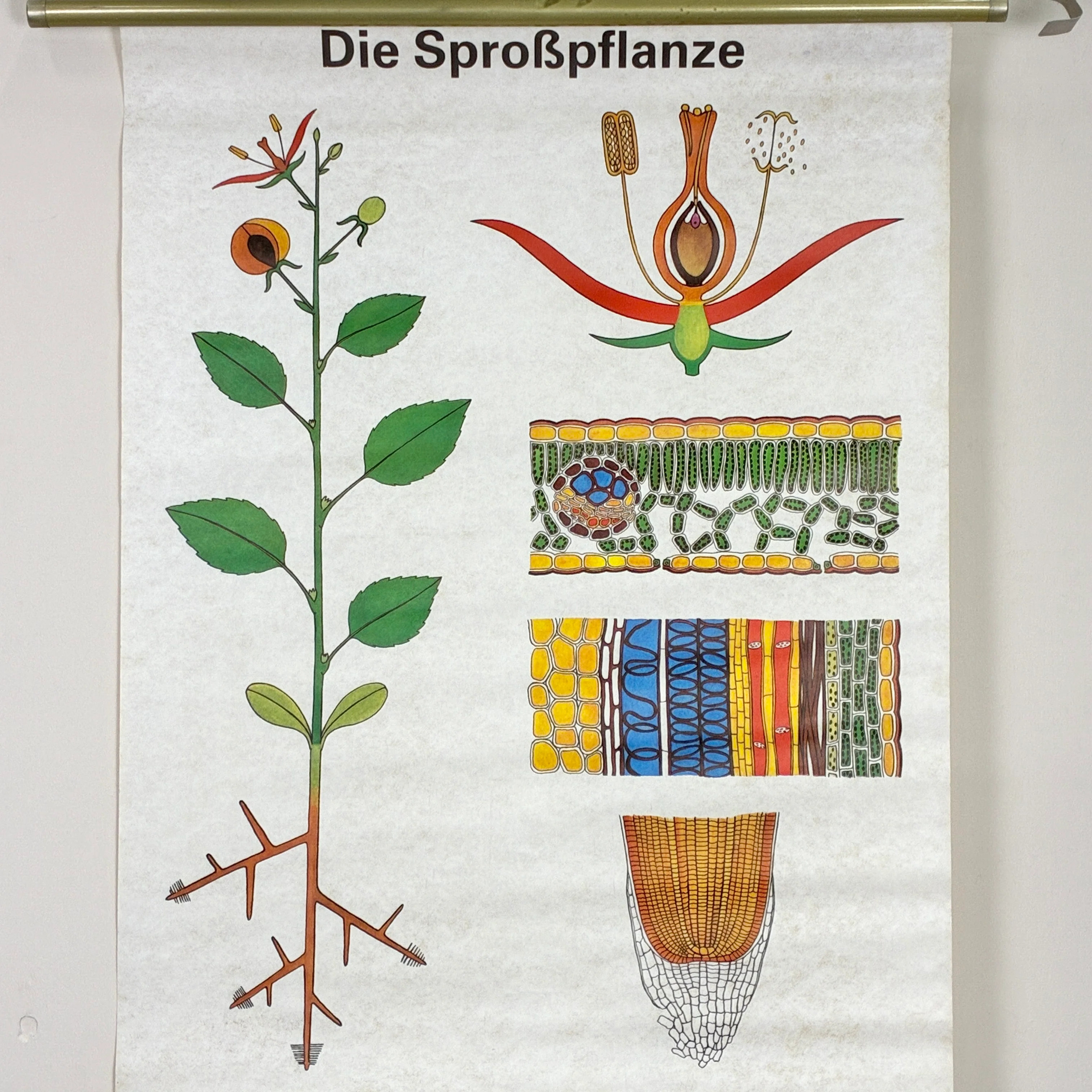Vorschaubild 3