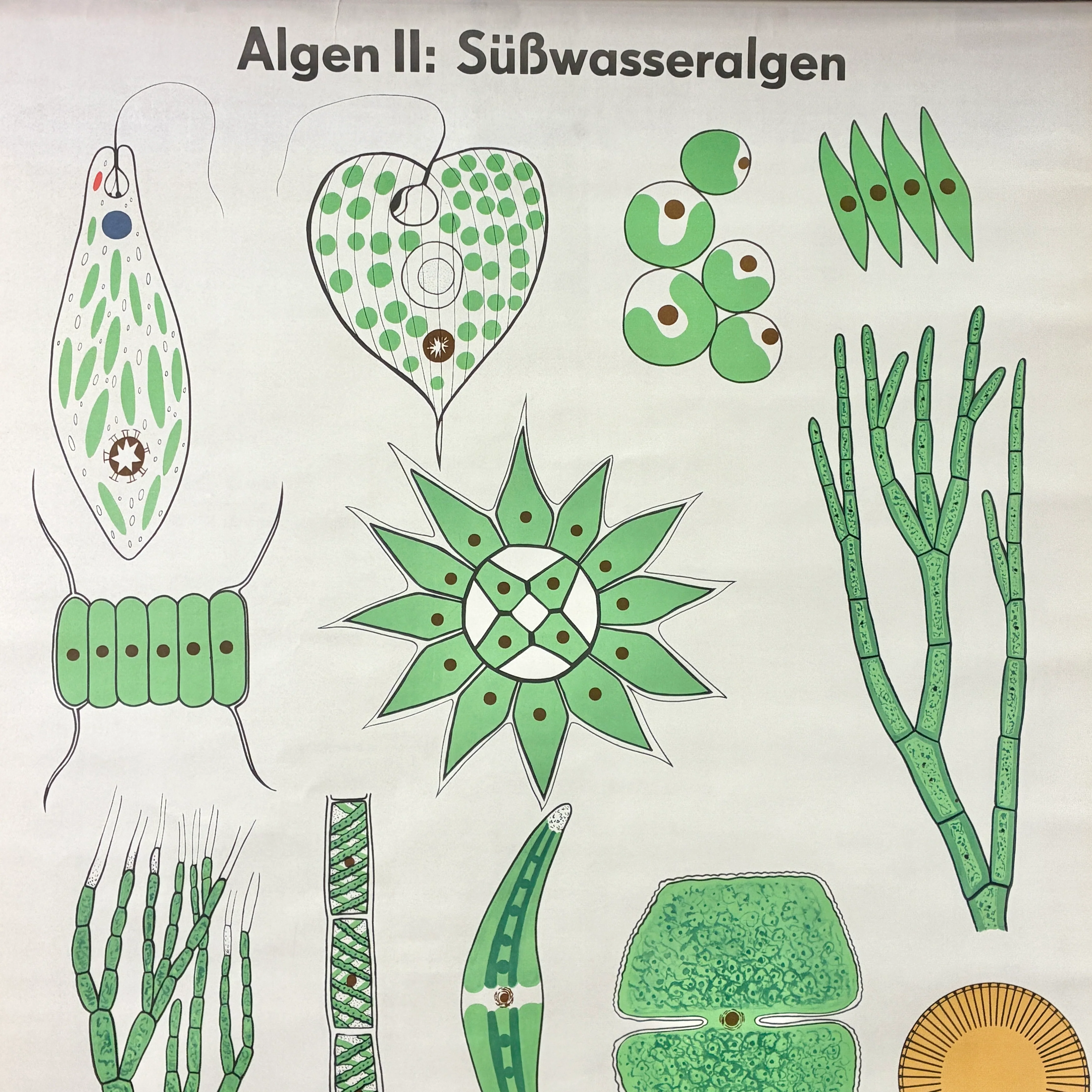 Vorschaubild 4