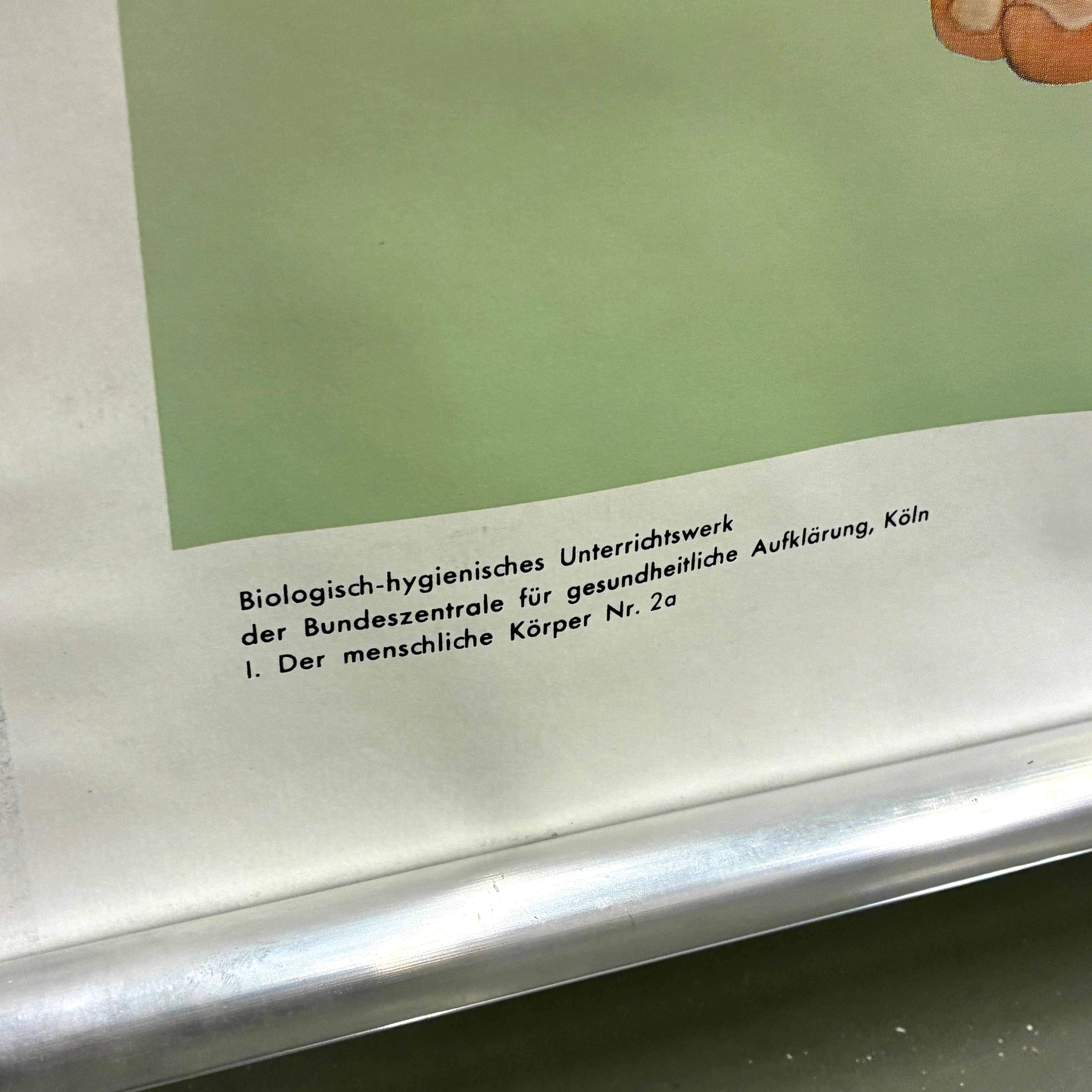 Vorschaubild 5