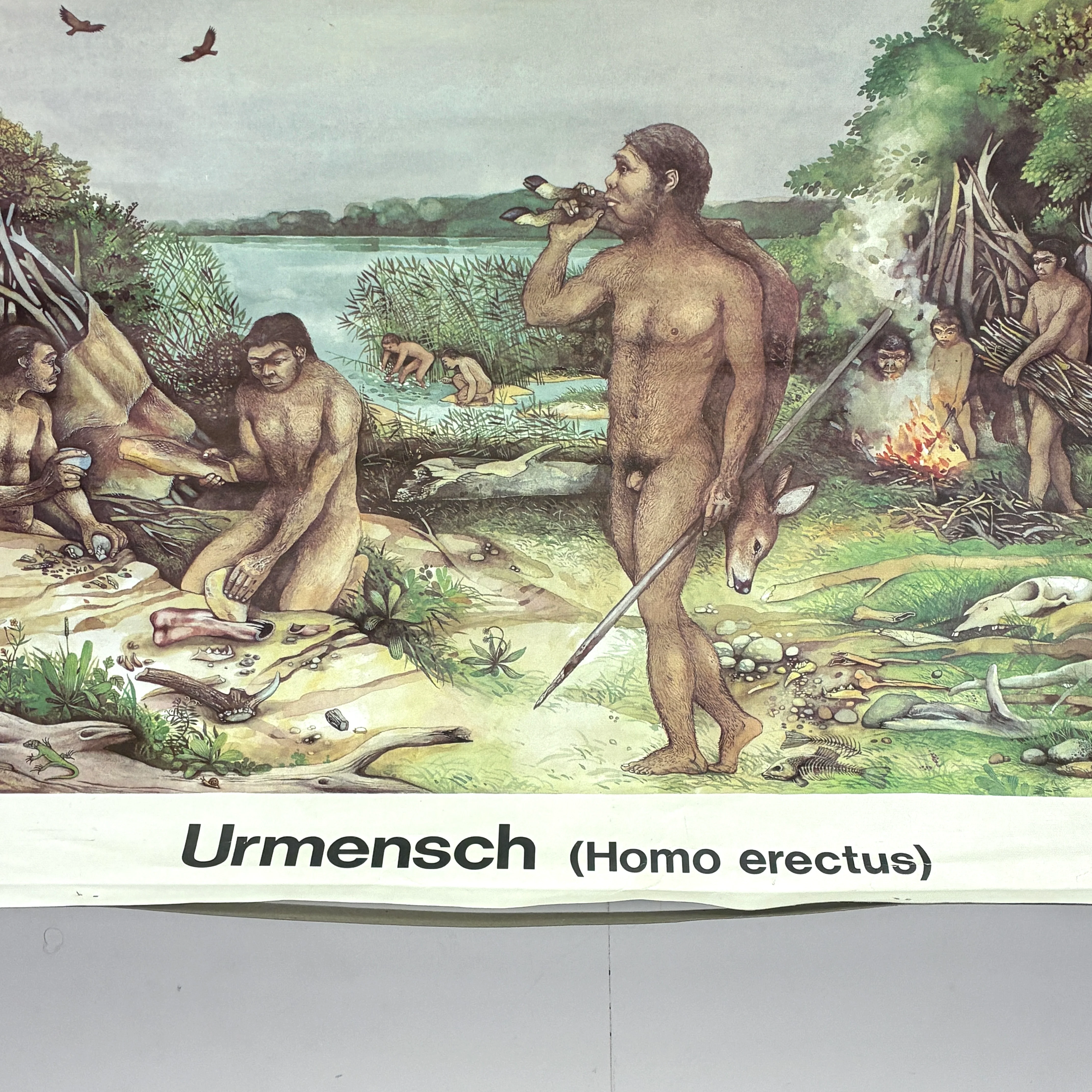 Vorschaubild 3