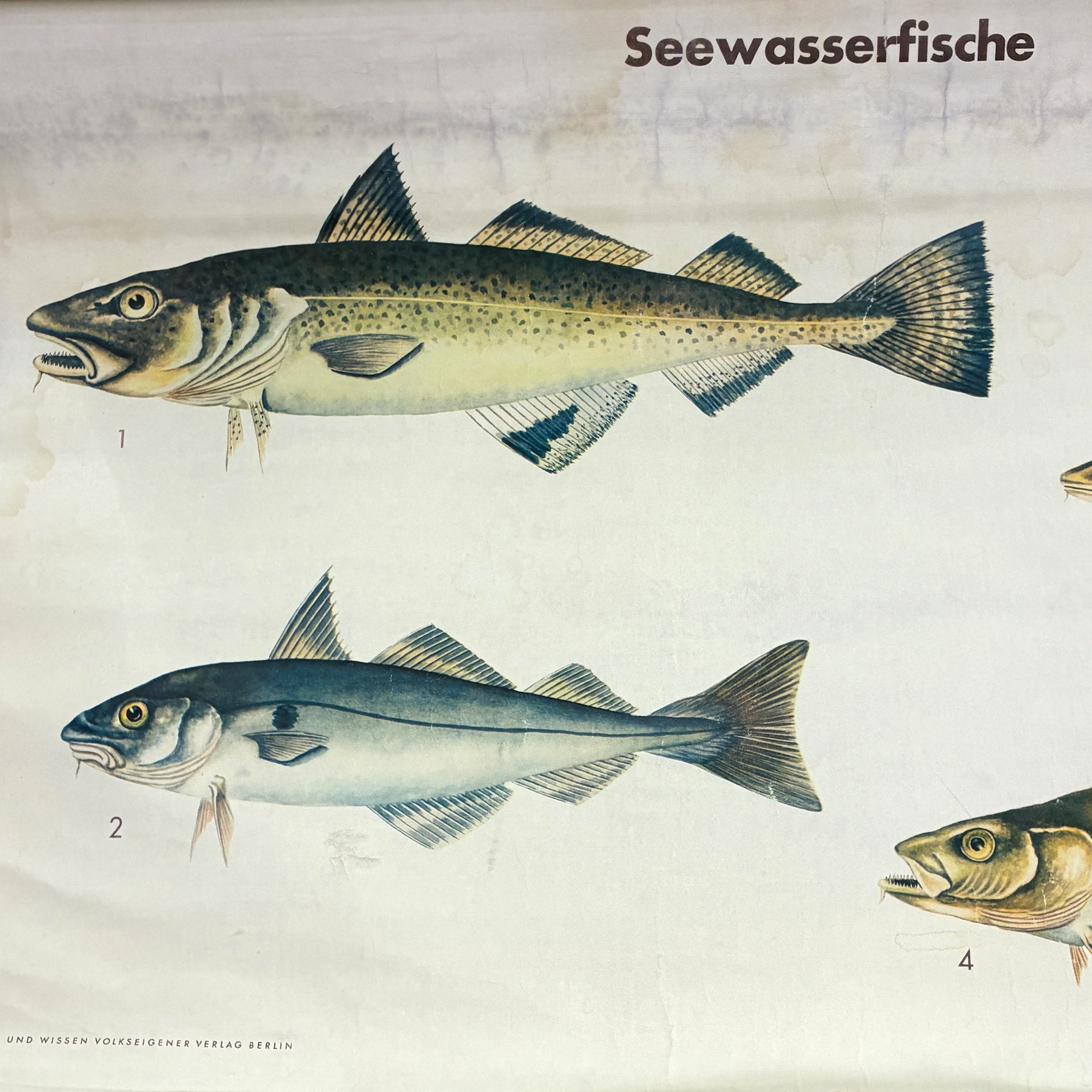 Vorschaubild 3